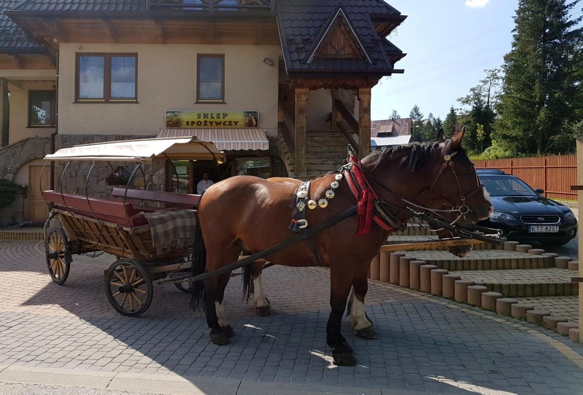 Pokoje Goscinne Pod Giewontem Zakopane Bagian luar foto